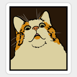 Panicked Cat Meme Sticker